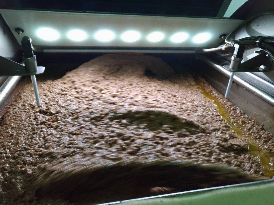 Olio Extravergine di Oliva PRODOTTO BIOLOGICO 2025-2026: L