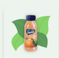 SUCCO DI FRUTTA SANTAL,100%FRUTTA GUSTO ALBICOCCA 250ML