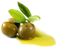 Olio Extravergine di Oliva 500ML  BIOLOGICO  (2025-2026)